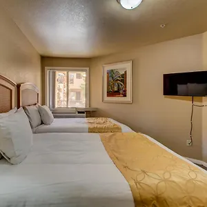 *** Hotel The Rita USA